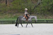 AQHA - NY Show