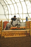 KC49-09-013-Sm&LgPonyHtr,Sun.JPG