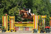 B172-10-046-Jumpers,FrWk5.JPG