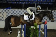 American Royal Oct 13-17, 2010