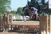 Mason City June 9-13, 2010