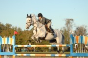 Ocala Pre Week 1 Jan 14-18 2009