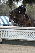Ocala Week 3 Feb 18-22 2009