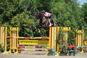 B172-10-017-Jumpers,FrWk5.JPG