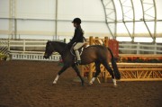 KC49-09-017-Sm&LgPonyHtr,Sun.JPG