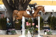 Ocala Week 4 Feb 25-March 1 2009