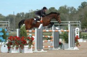 Ocala Week 2 2008