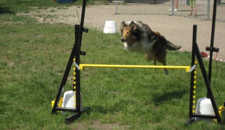 Start, HSV Tempelhof, Sommerturnier 2007