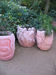 Where can i find pots like this??
