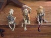 ELVES