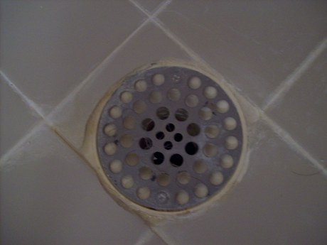 Shower Drain Smell?
