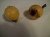 Type of Fruit