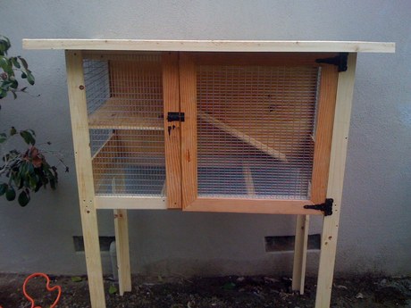 rabbit cage