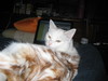 This is Casey