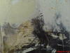 What do you see in this?