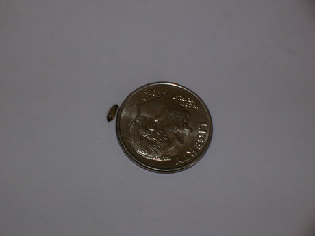Very small grub-type thing