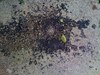 Roofing tar on patio