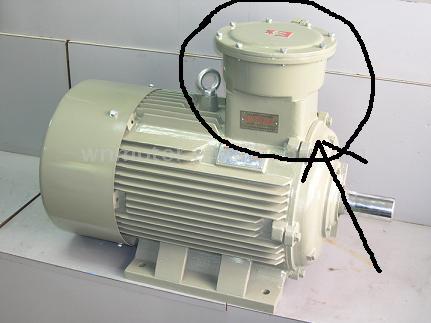 Electric motor