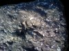 rock