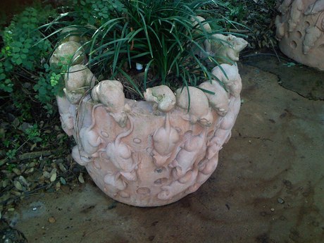 Where can i find pots like this??