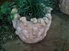 Where can i find pots like this??
