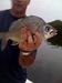 Fish Identification