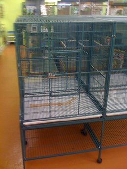 Bird cage
