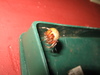 What type of spider?