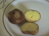 Unknown fruit or nut from a tree