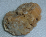 Can anyone identify this?