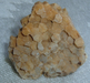 Can anyone identify this?