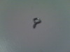What is the name for this type of screw?
