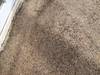 RiverRock Cleaning