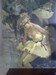 can anyone tell me who this painter is??