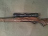 RIFLE