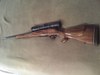 RIFLE