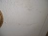 Ceiling Repair