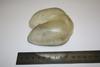 Unknown Sea Object