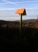 Orange Signs