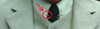 What are these things?