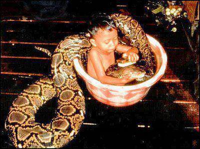 taking a bath with your pet