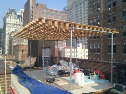 Entire_trellis_normal-1