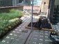 Bed_prep_thumb