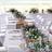 Thumbnail_gallery11