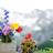 Thumbnail_gallery12
