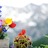 Thumbnail_weddings4