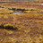 Thumbnail_gal_2000x526_canoeing