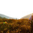 Thumbnail_gal_2000x526_hiking-field