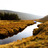 Thumbnail_gal_2000x526_stream