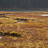Thumbnail_gal_2000x714_canoeing